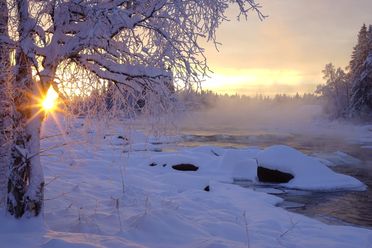 Winter by the river