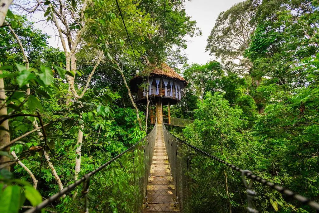 Foto: https://treehouselodge.com/