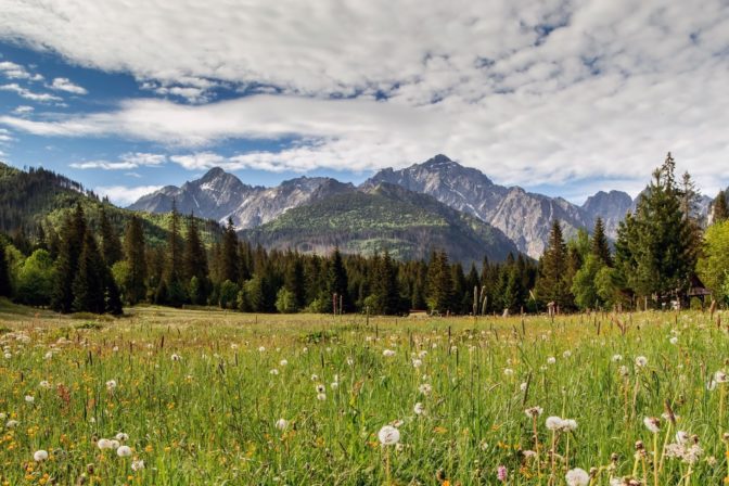 Vysoké Tatry
