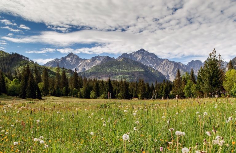 Vysoké Tatry