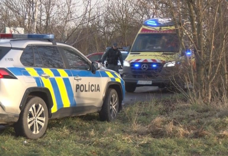 Polícia, Michalovce