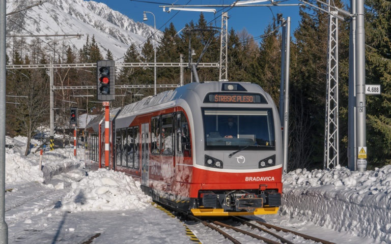 Električkozubačka Bradavica, Tatry