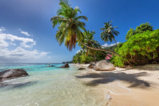 Sunny tropical beach in Paradise island