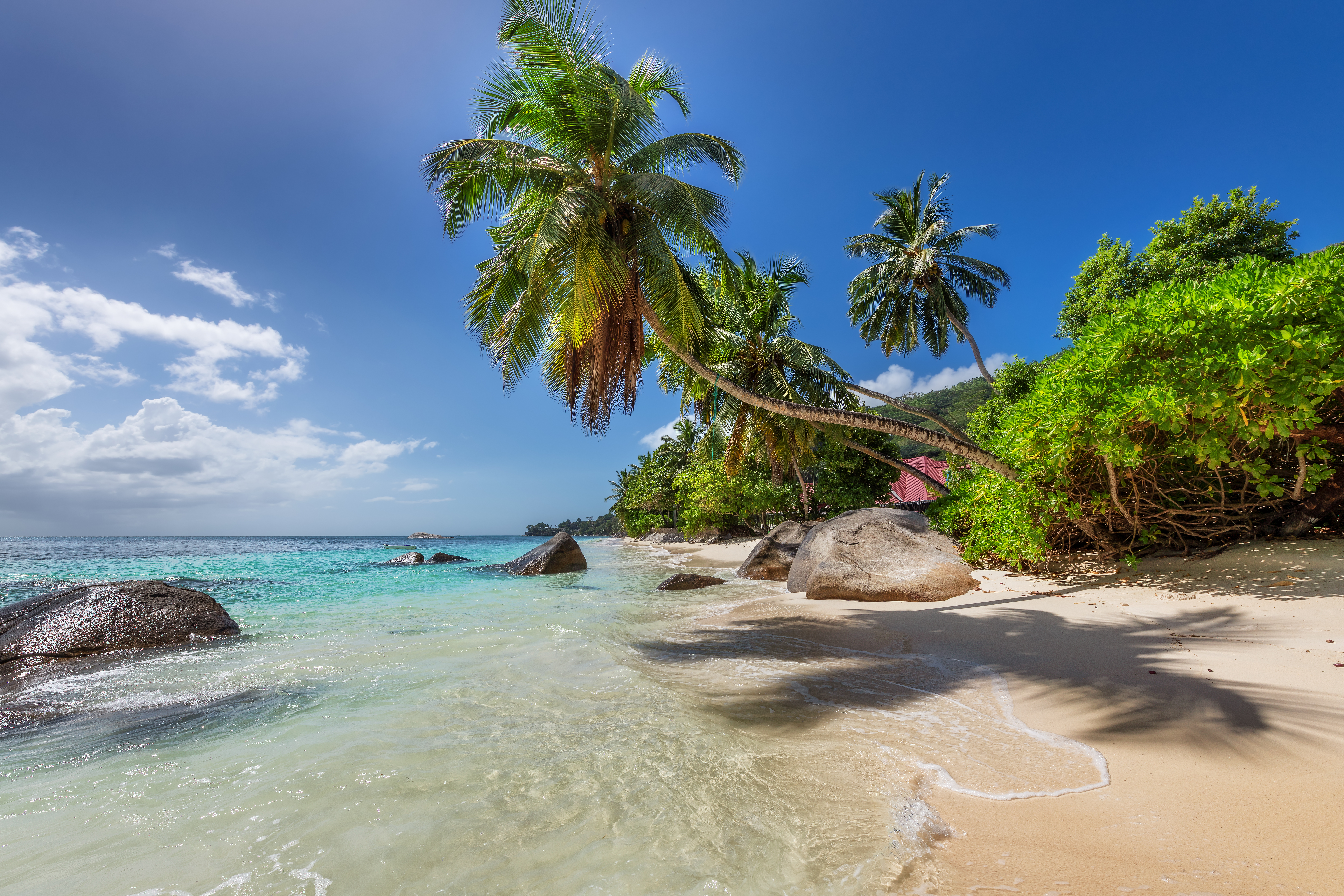 Sunny tropical beach in Paradise island