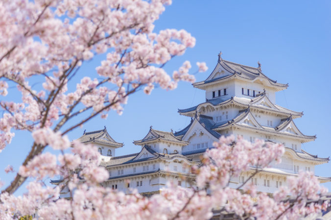 Himeji Castle with Pink Sakura Branches in Springtime, Himeji, Hyogo, Japan