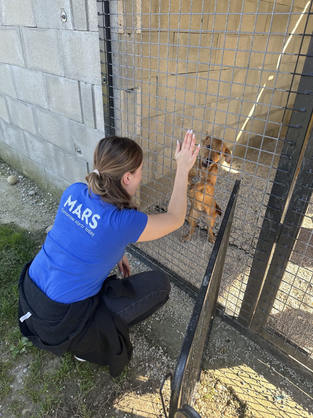 Sk world animal day 02.jpg