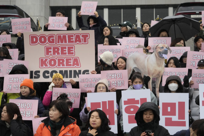 South Korea Dog Meat