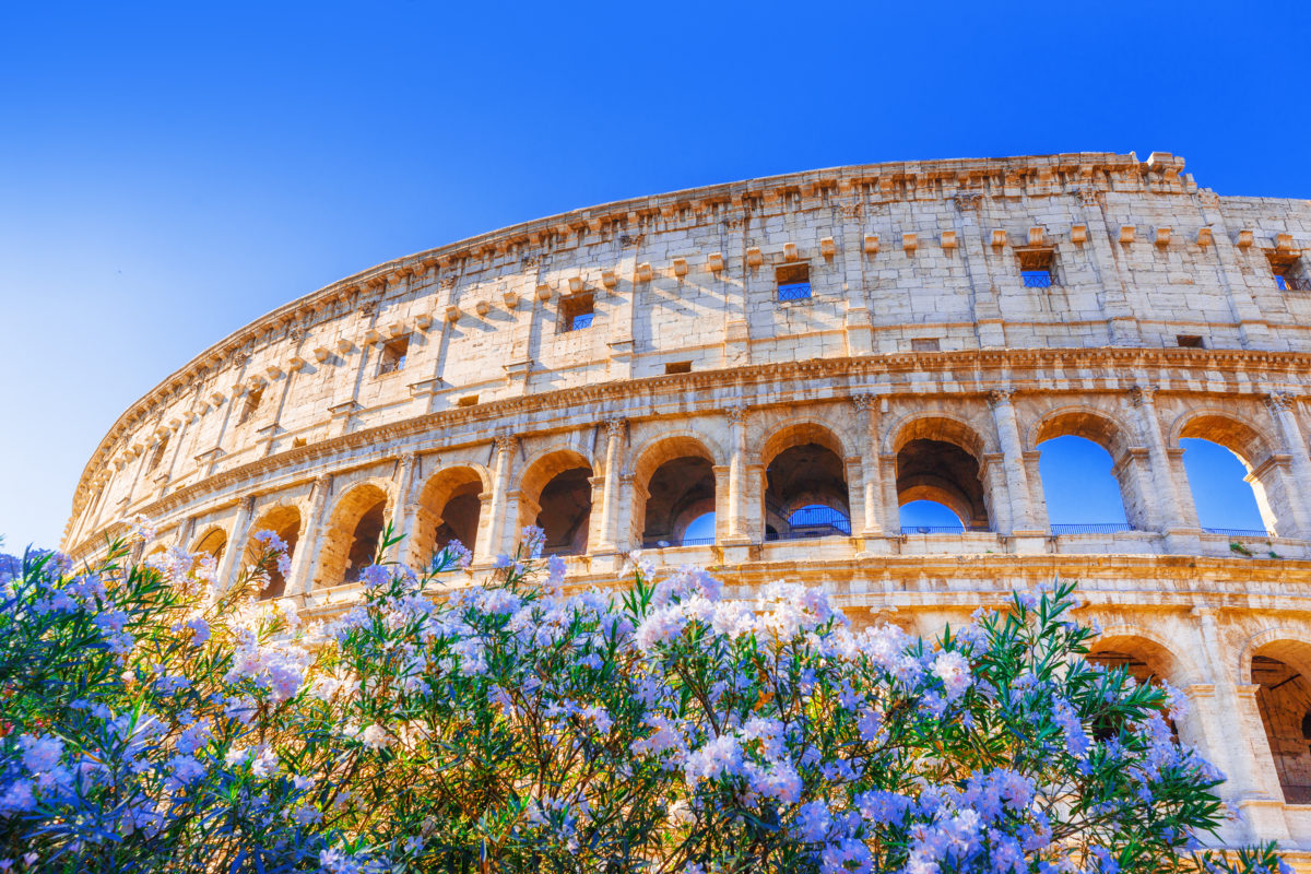 Rome, Coliseum, Italy. Romantic view on iconic landmark ancient Coliseum through blooming flowers of oleander.