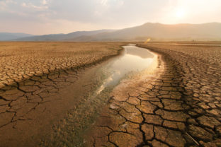 Dried lake and river on summer and Climate change concept.