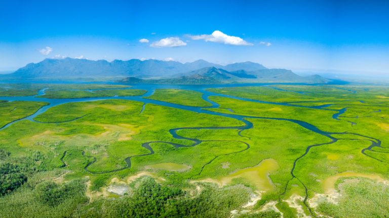 Meandering rivers and mangroves of Hinchinbrook Island