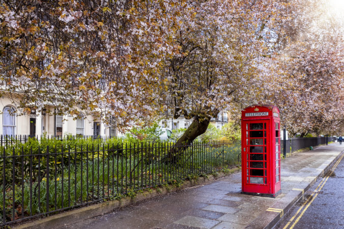 A red telephone booth on a street in London under blossoming trees