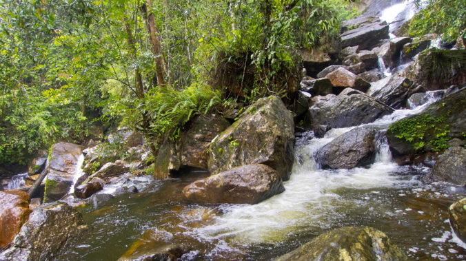 Waterfall, Sinharaja National Park Rain Forest, Sri Lanka