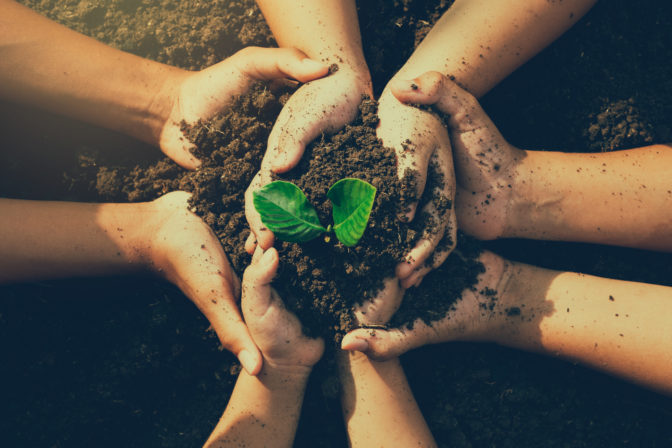 Little boy's hand holding a green sapling earth day In the hands of trees planting saplings. Reduce global warming. Love the world concept.