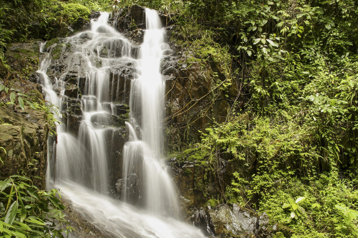 Ton Sai Waterfall in National Park Khao phra thaeo, Phuket, Thailand, Asia