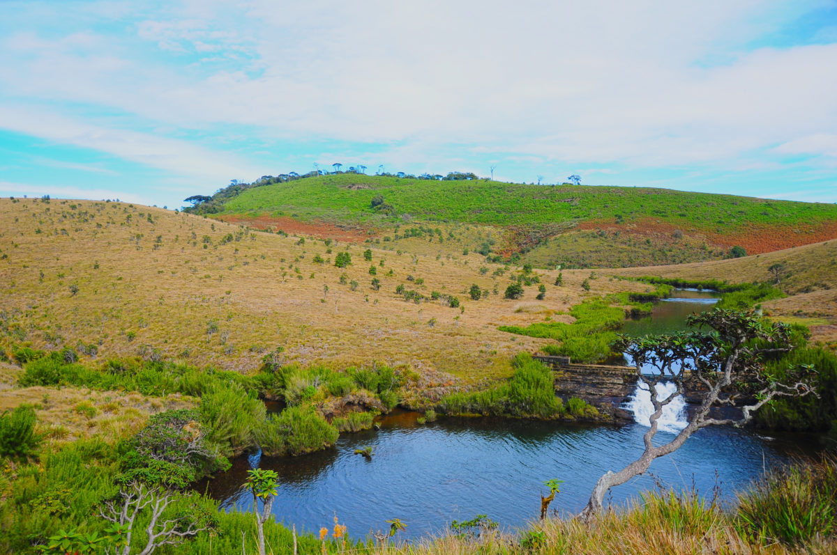 Beautiful Horton Plains