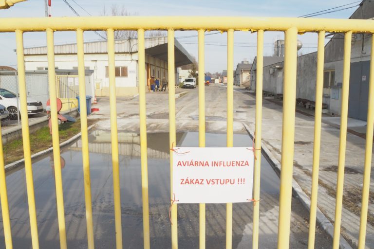 AGRO: Likvidácia veľkochovu hydiny v Špačinciach