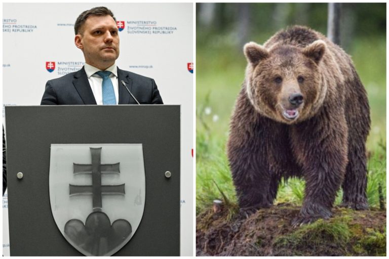Tomáš Taraba, medveď