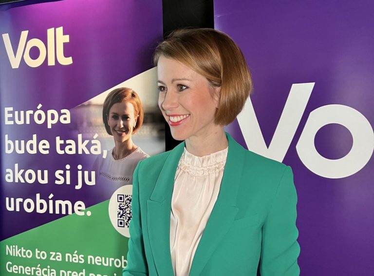 Lucia Kleštincová, Volt Slovensko