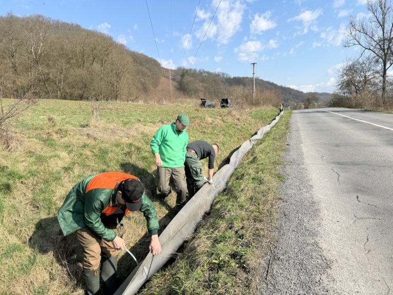 Migrujúce žaby, zábrany