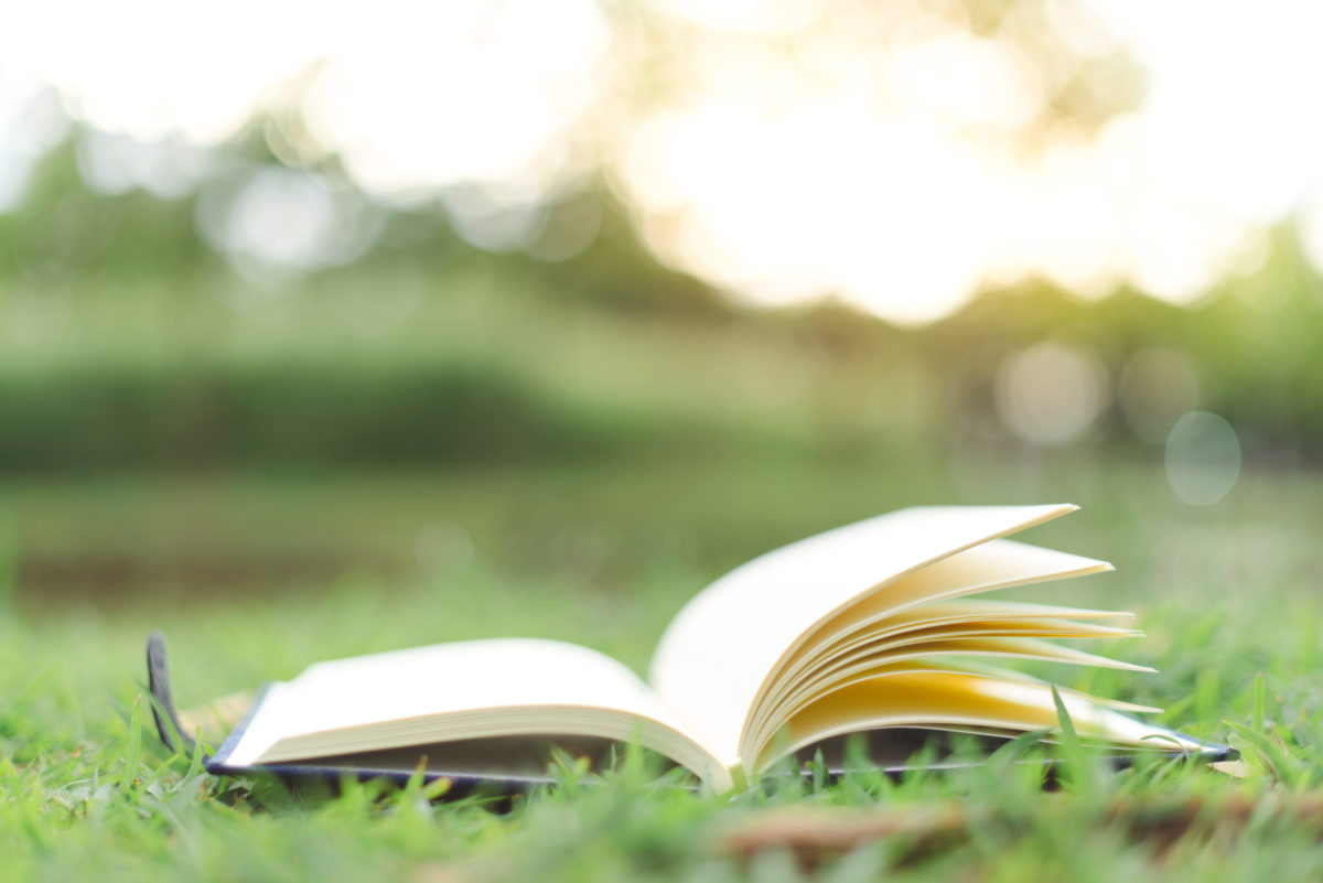 Close up open book in nature