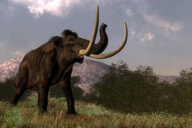 Mamut