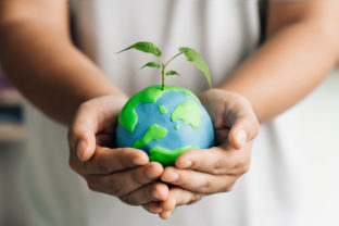 Human hand holding young earth and plant in ecology and environment sustainable concept. Saving environment, save clean planet and net zero. World Earth Day and ESG and co2 concept