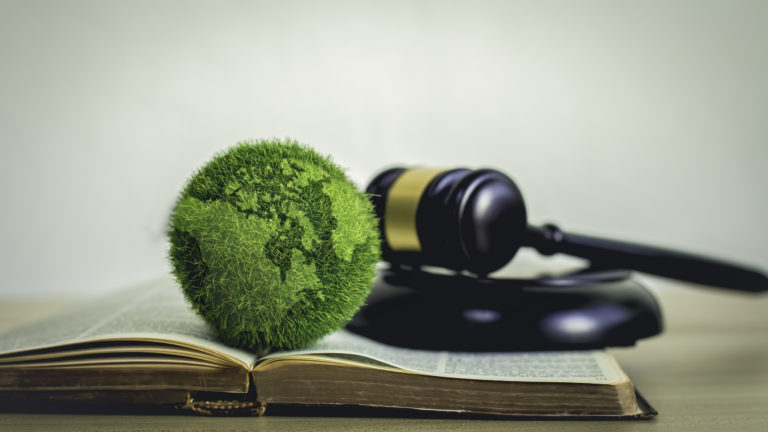 The green world is in the book There is a judging hammer behind it. The concept of global natural law and environmental judgment.