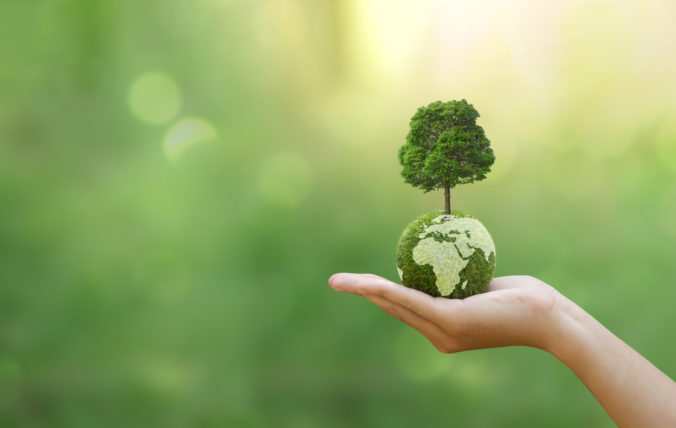 Hand of human holding green earth with tree for ESG, co2, and net zero.Concept of World sustainable environment, Save our Planet, World Environment Day, World Earth Day and Climate change.