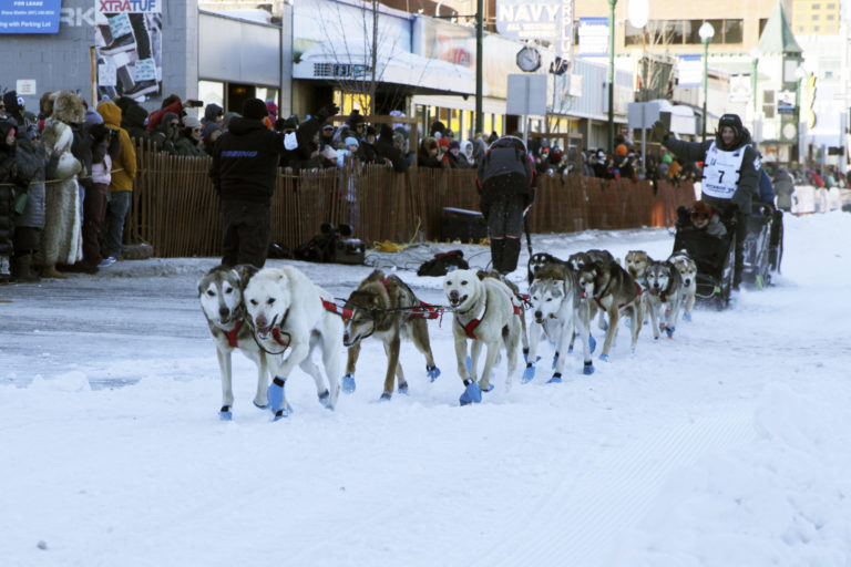 Iditarod, Dallas Seavey, psie záprahy