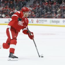 Panthers Red Wings Hockey