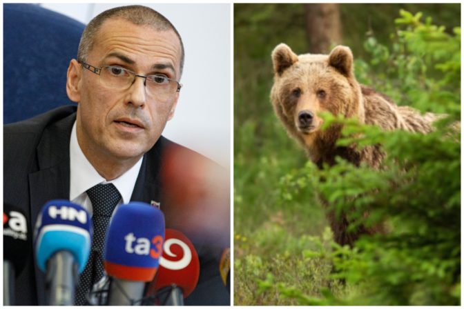 Maroš Žilinka, medvede