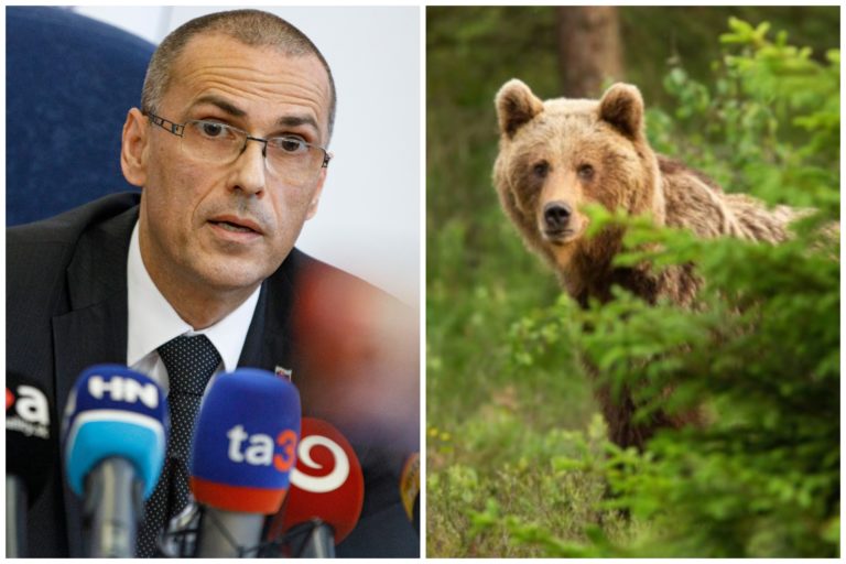 Maroš Žilinka, medvede