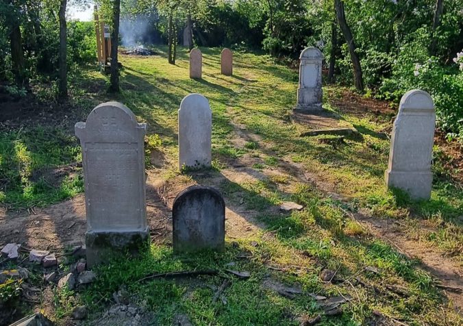 Židovský cintorín v obci Michal nad Žitavou zachraňujú pred úplným zánikom dobrovoľníci