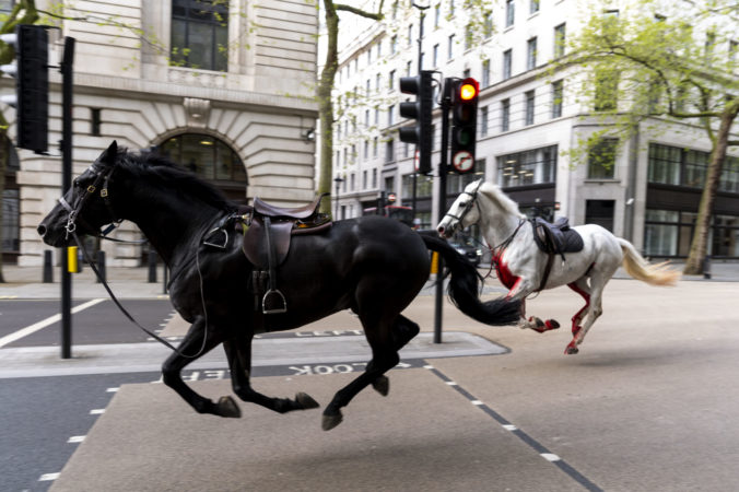 Britain London Loose Horses