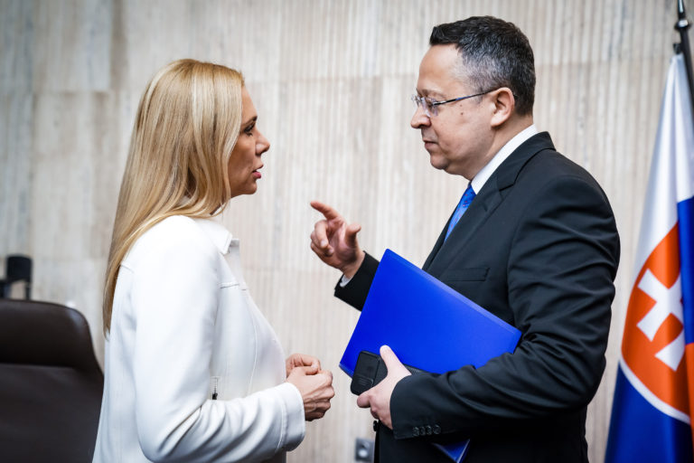 Denisa Saková, Ladislav Kamenický