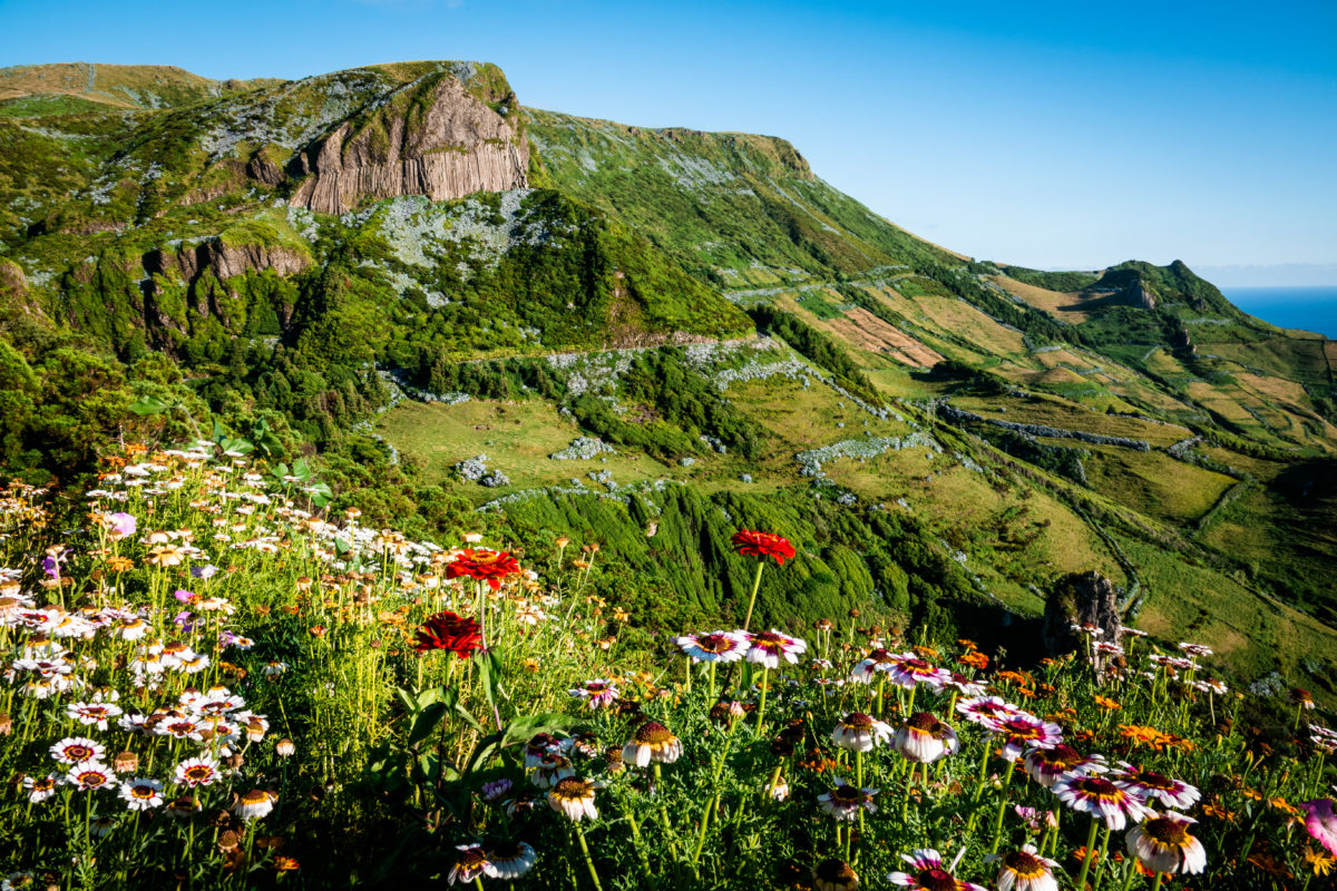 Panorama of Flores
