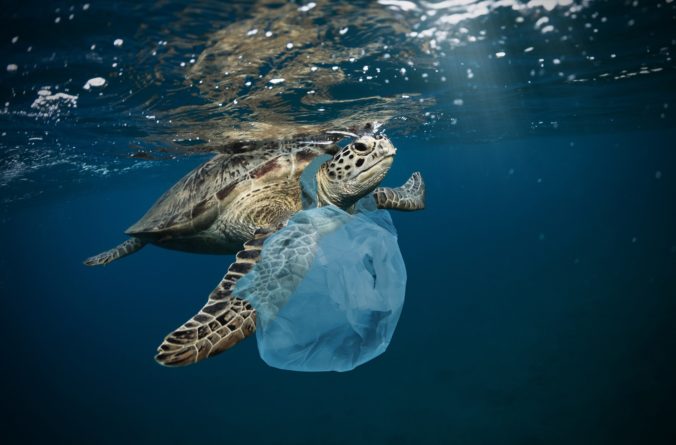 Čo spôsobujú plastové slamky v oceánoch? Video o korytnačke otriaslo svetom