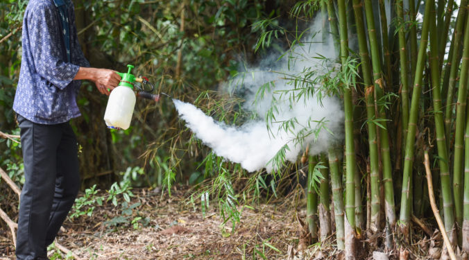 Man holding fogging to eliminate mosquito for preventing spread dengue fever and zika virus in the bamboo forest - Mosquito spray