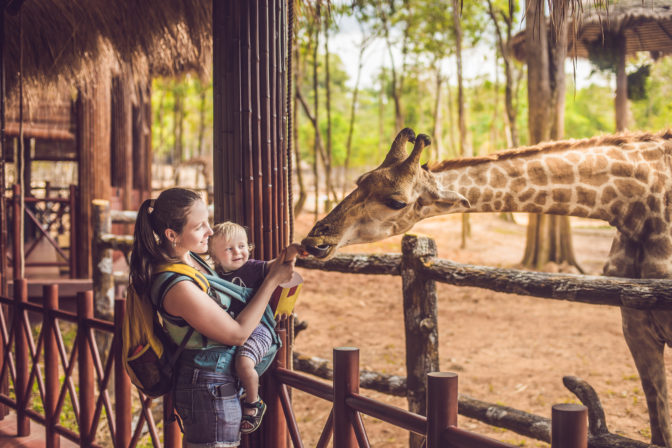 Happy mother and son watching and feeding giraffe in zoo. Happy family having fun with animals safari park on warm summer day
