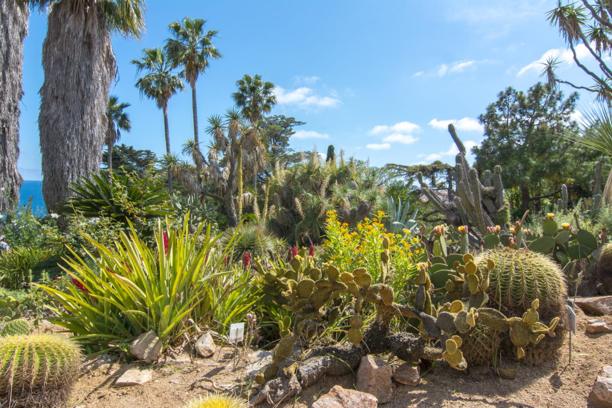Marimurtra botanical garden at Blanes near Barcelona, Spain