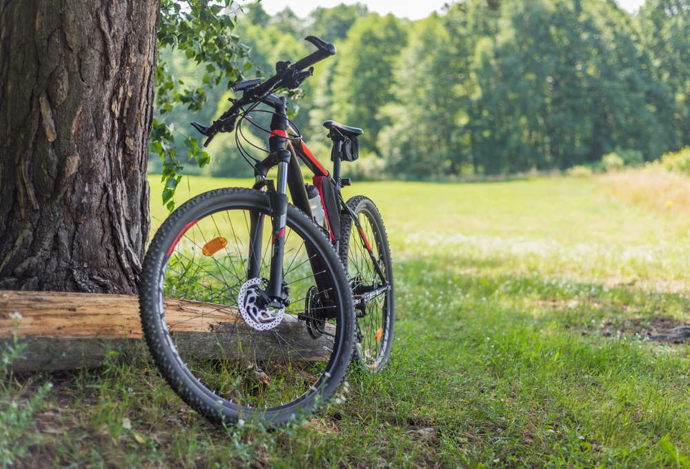 Outdoor,Bicycle,Trip,,Summer,,Bicycle