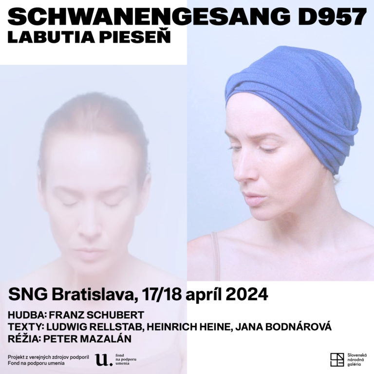 Pm_schwanengesang_d957_2024_banner_tana_b 1.jpg