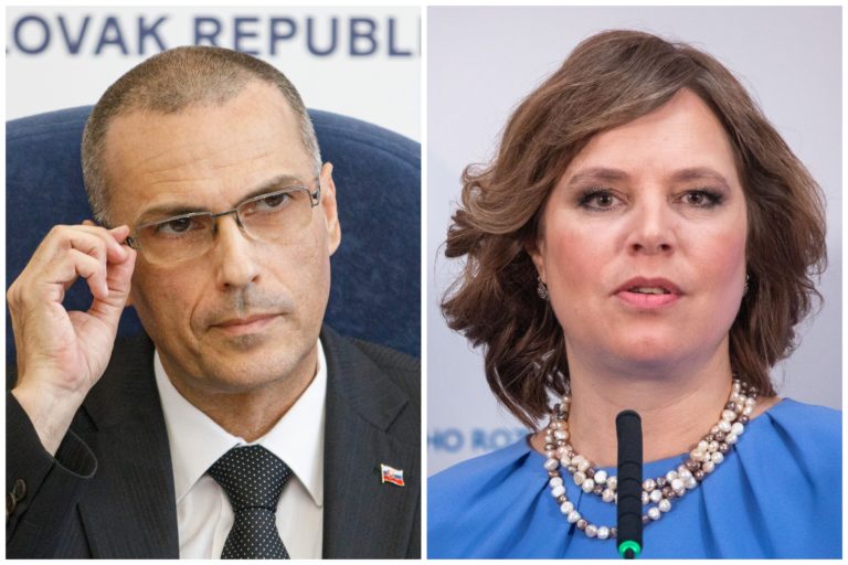 Maroš Žilinka, Veronika Remišová