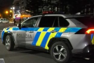 Polícia, nehoda