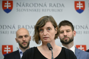 Lucia Plaváková, PS