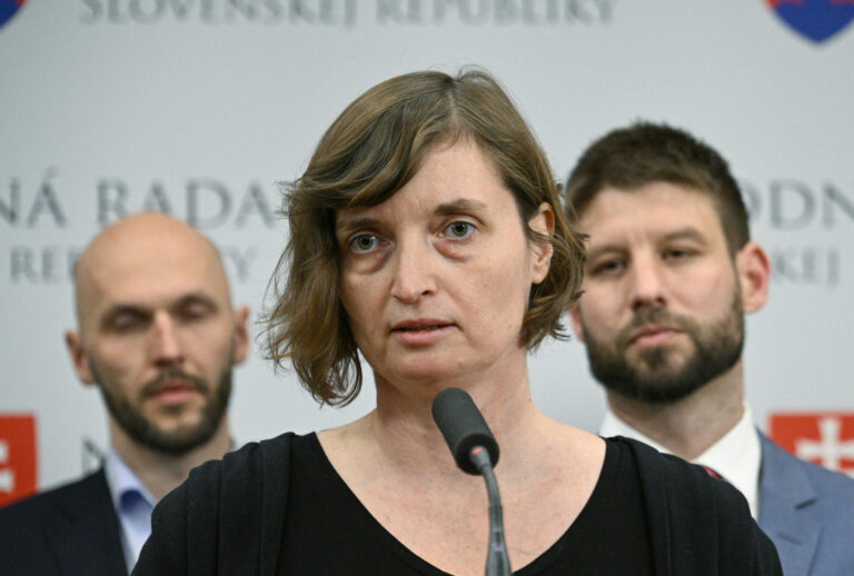 Lucia Plaváková, PS