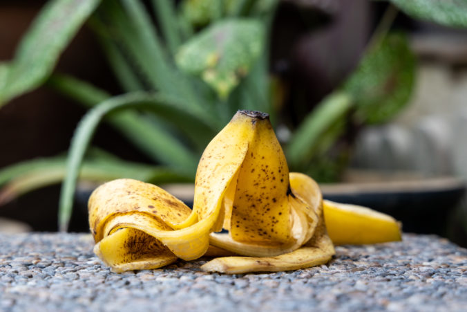 GBanana peel against lush healthy plants in gardening background.