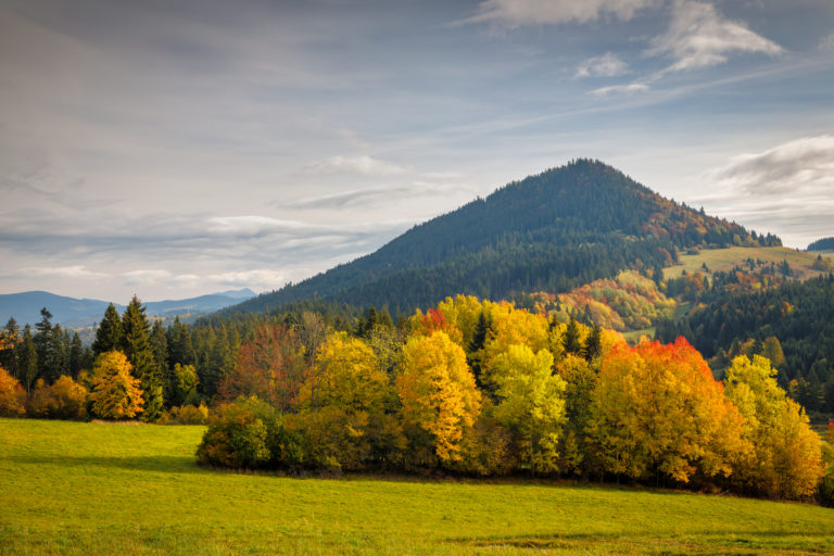 Autumn landscape with brightly colored trees and hills.