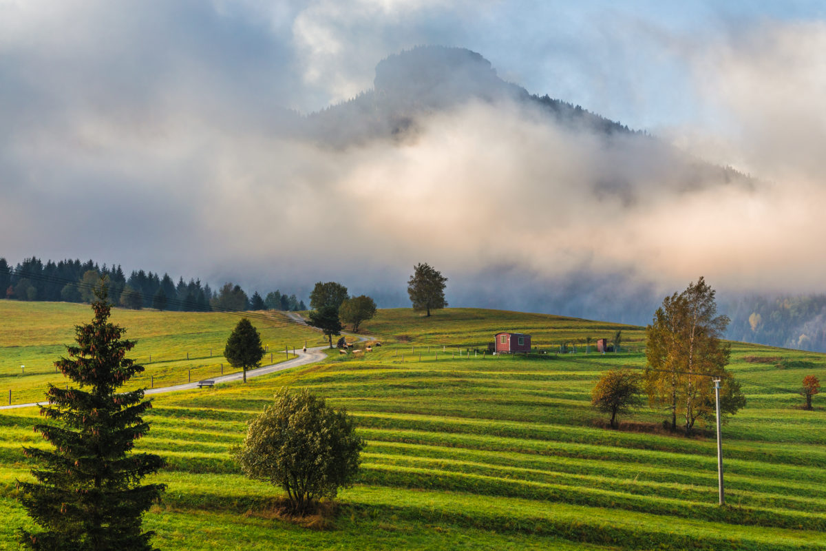 Autumn misty mountainous landscape with morning sun light shining