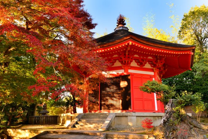 Autumn Foliage of Tofuku ji Temple, Kyoto, Japan